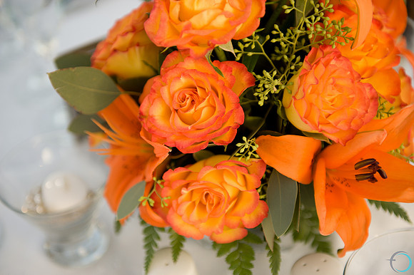 '2011-7 Cabo Wedding-0834