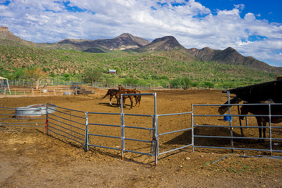 Spur Cross Stables-2-11