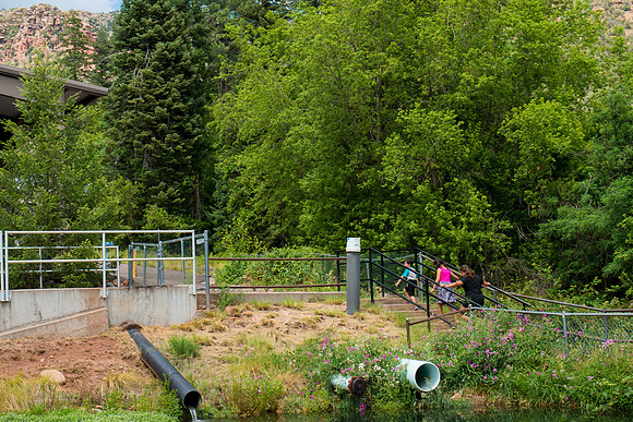 Tonto Creek Fish Hatchery-476