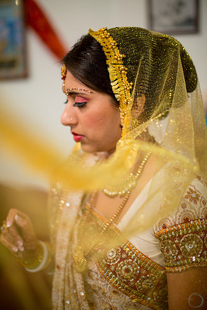 2012-11 FoskettCreative.com-461-4