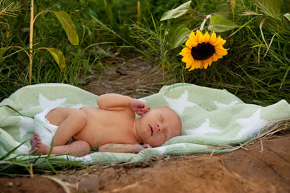 2011 Foskett Creative-1094