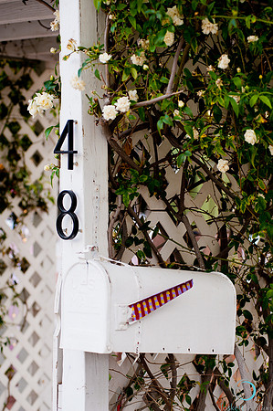 Foskett Creative-0737
