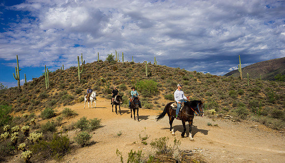 Spur Cross Stables-3-67