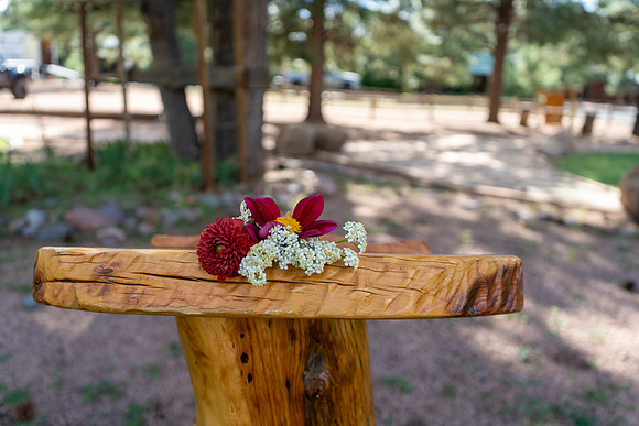Foskett Creative 2024-6367