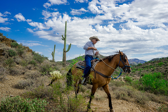 Spur Cross Stables-3-61