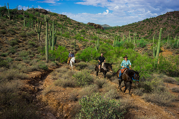 Spur Cross Stables-3-49