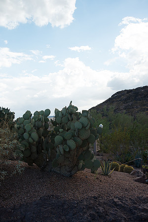 Foskett_September2014_image-1126