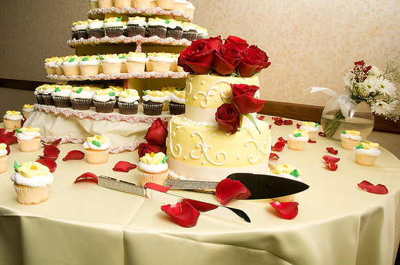 2011-3 Brad & Sarah's Wedding-4632