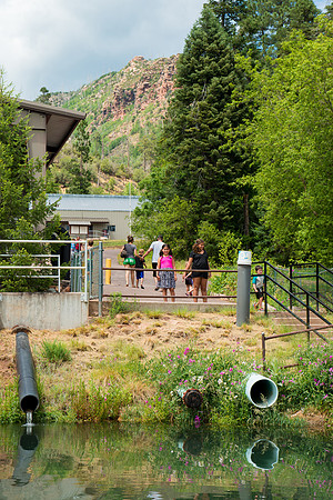 Tonto Creek Fish Hatchery-485