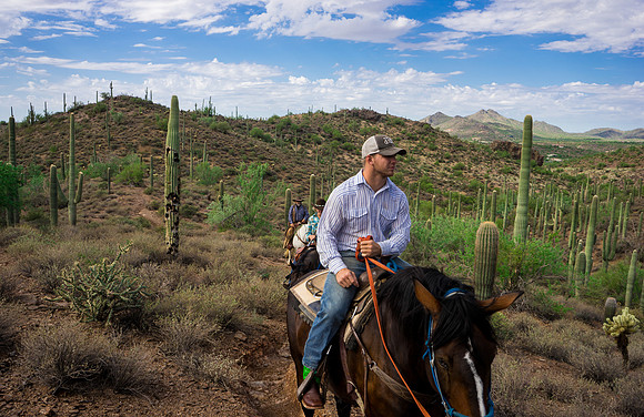 Spur Cross Stables-3-58