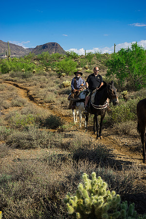 Spur Cross Stables-3-14