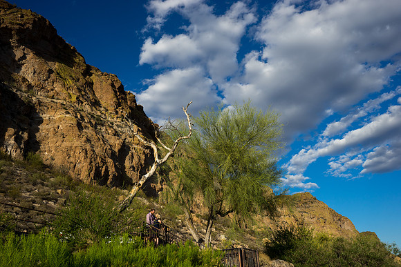 Saguaro Lake