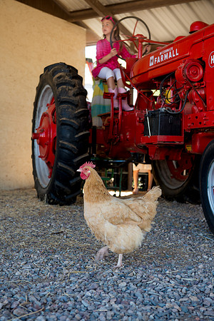 2012 Foskett Creative-2439