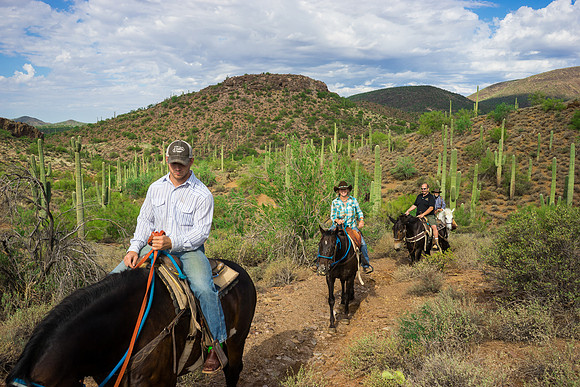 Spur Cross Stables-3-51