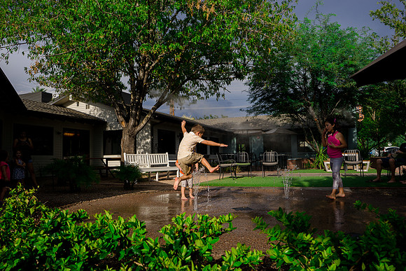 The Orchard Phoenix-483