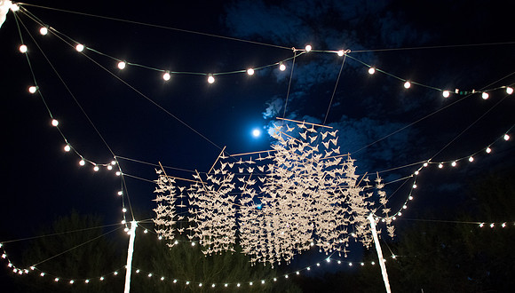 2012-9 Foskett Creative-5613