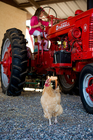 2012 Foskett Creative-2437