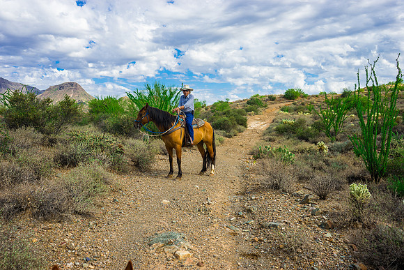 Spur Cross Stables-3-104