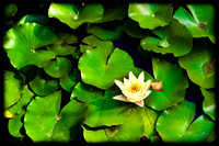 2010 Foskett Creative-1