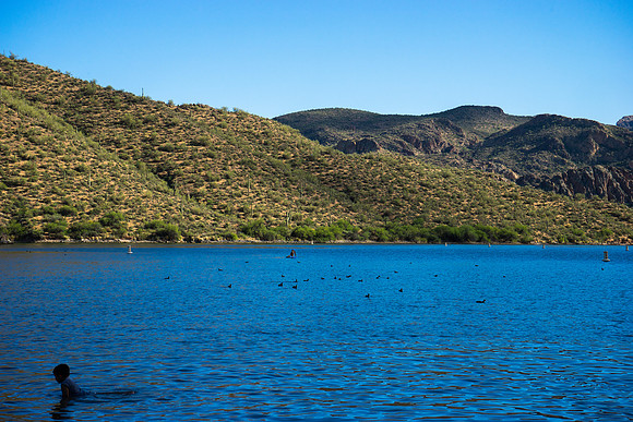 Saguaro Lake