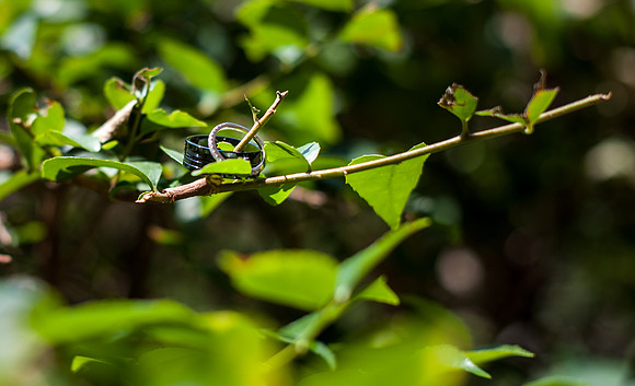 FoskettCreative2014-8-434