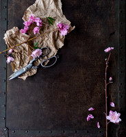 Peach Blossoms