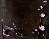 Peach Blossoms-9