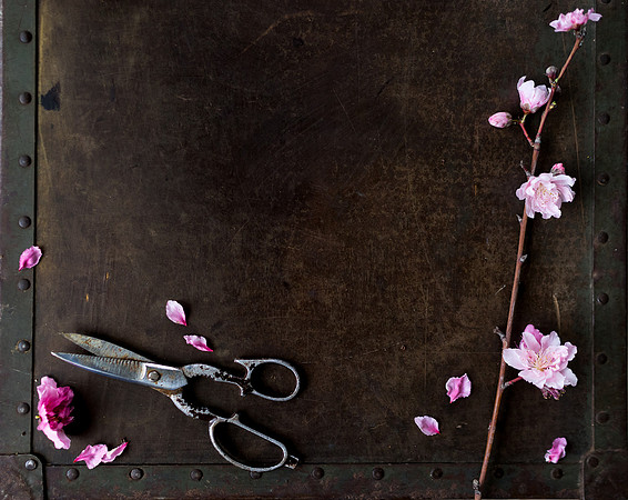 Peach Blossoms-9
