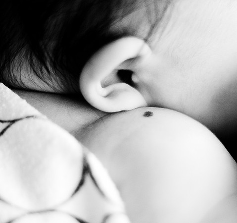 Foskett Creative Photography-276