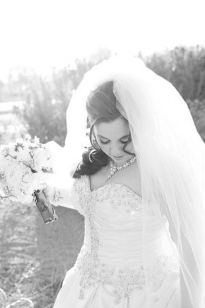 2014-1 FoskettCreative.com-526