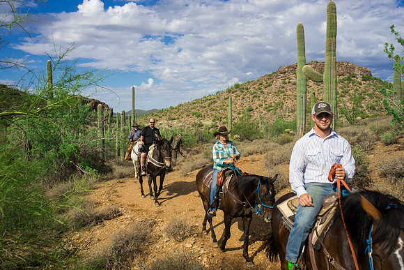 Spur Cross Stables-3-40
