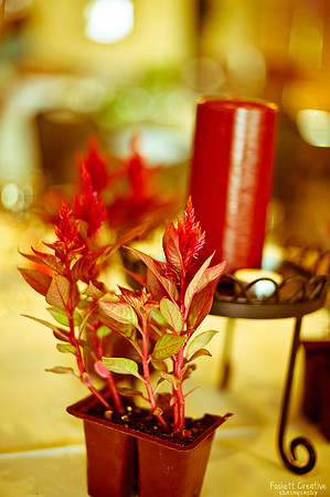 2011-5 Heather and Mike Wedding-5068