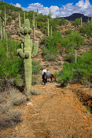 Spur Cross Stables-3-17