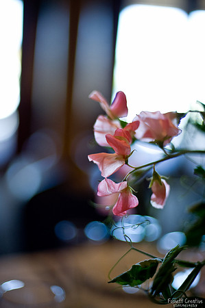 2011-5 Heather and Mike Wedding-5038