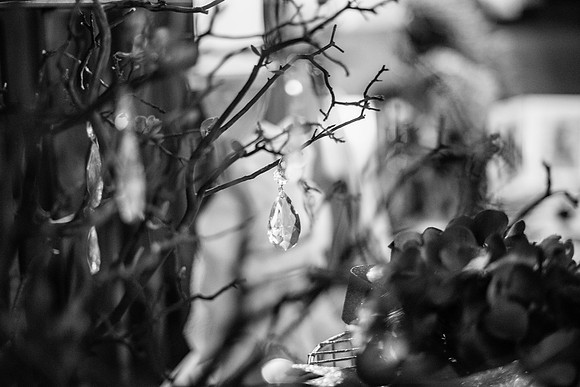 2013-10-5 FoskettCreative.com-496-2
