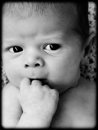 Foskett Creative Photography -2