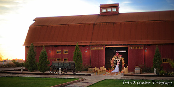Foskett Creative Photography -522