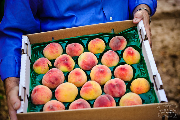 2011-5 Schnepf Farms Whole Foods Shoot-3242