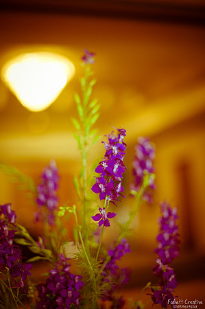 2011-5 Heather and Mike Wedding-5040