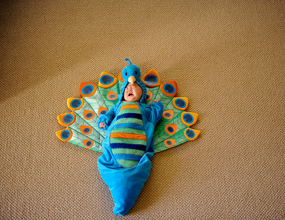 Foskett Creative Photography-428