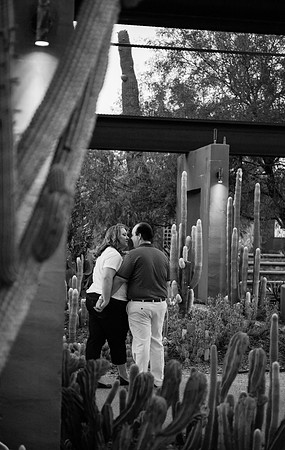 Desert Botanical Gardens