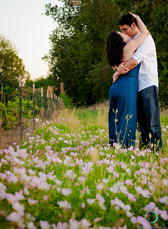 2012-4 Foskett Creative-2559
