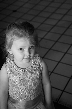 2015 Foskett Creative-04473