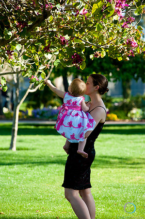2012-3 Foskett Creative-8279
