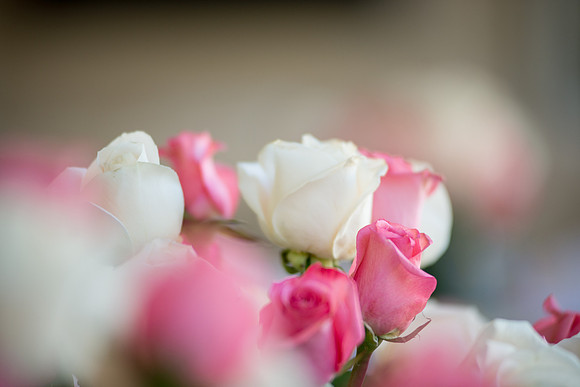 2013-10 FoskettCreative.com-401