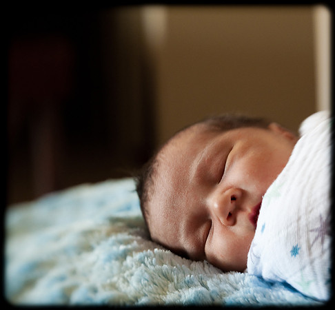 Foskett Creative Photography -395