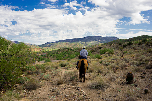 Spur Cross Stables-3-115