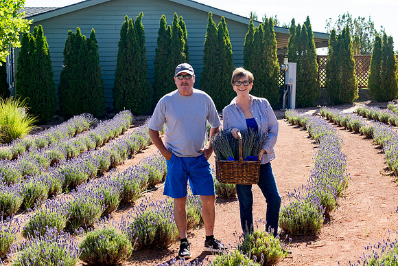 Lavendar Festival