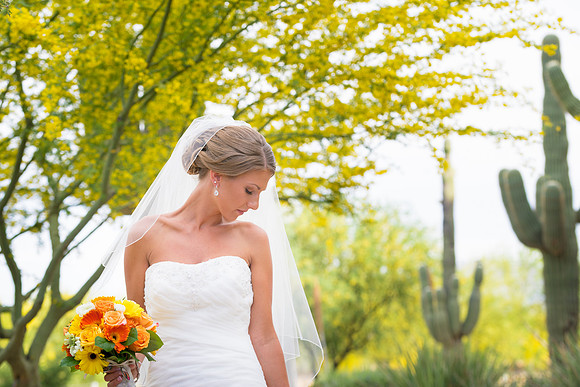 2015-4 Foskett Creative Photography-07207