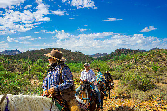 Spur Cross Stables-3-107
